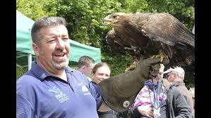 World of Owls